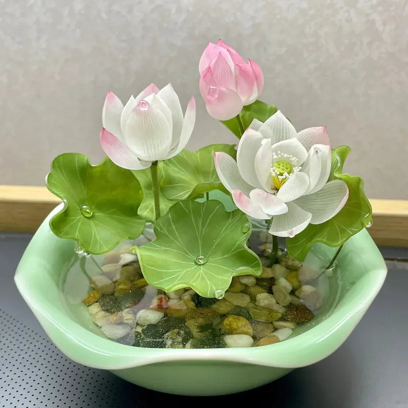 "Beautiful Bowl Lotus Seeds - Year-Round Hydroponic Blooms for Easy Indoor Greenery - Perfect for Living Rooms & Balconies (10 or 20 Seeds)"