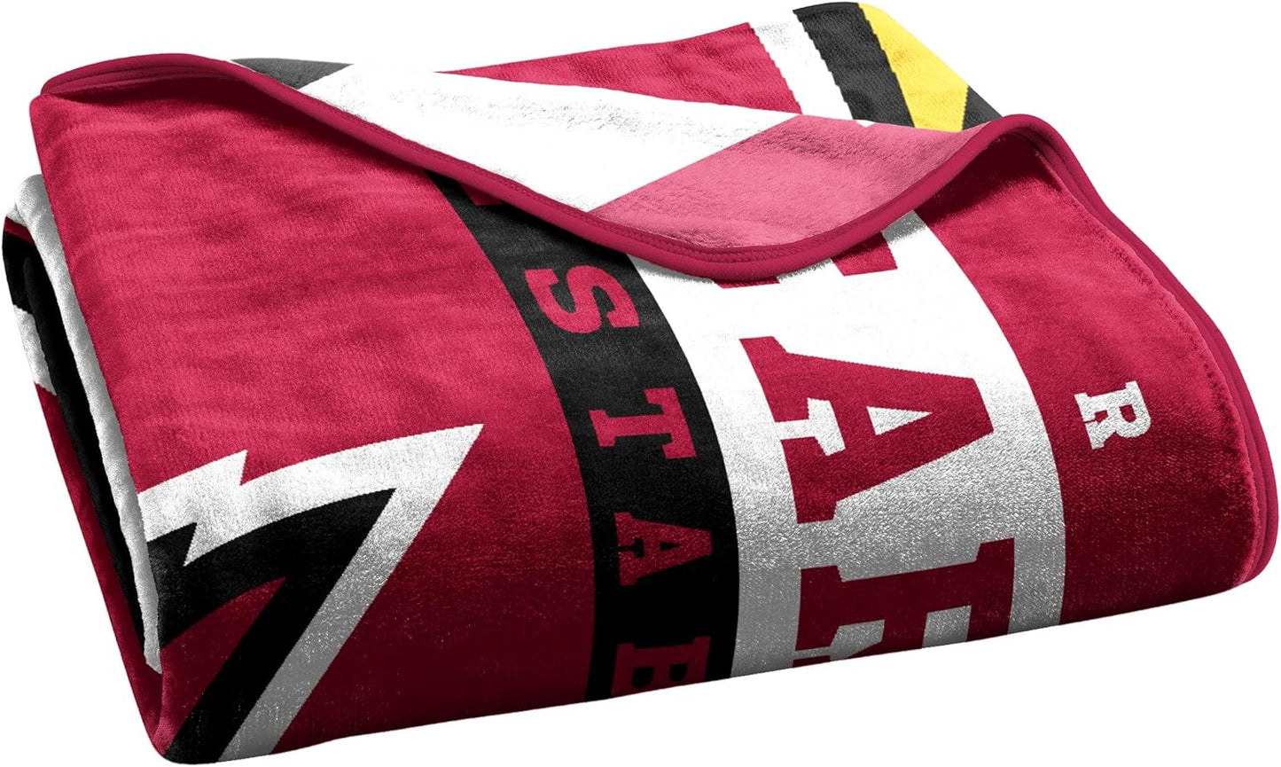 NFL Arizona Cardinals Raschel Throw Blanket - 60" x 80"