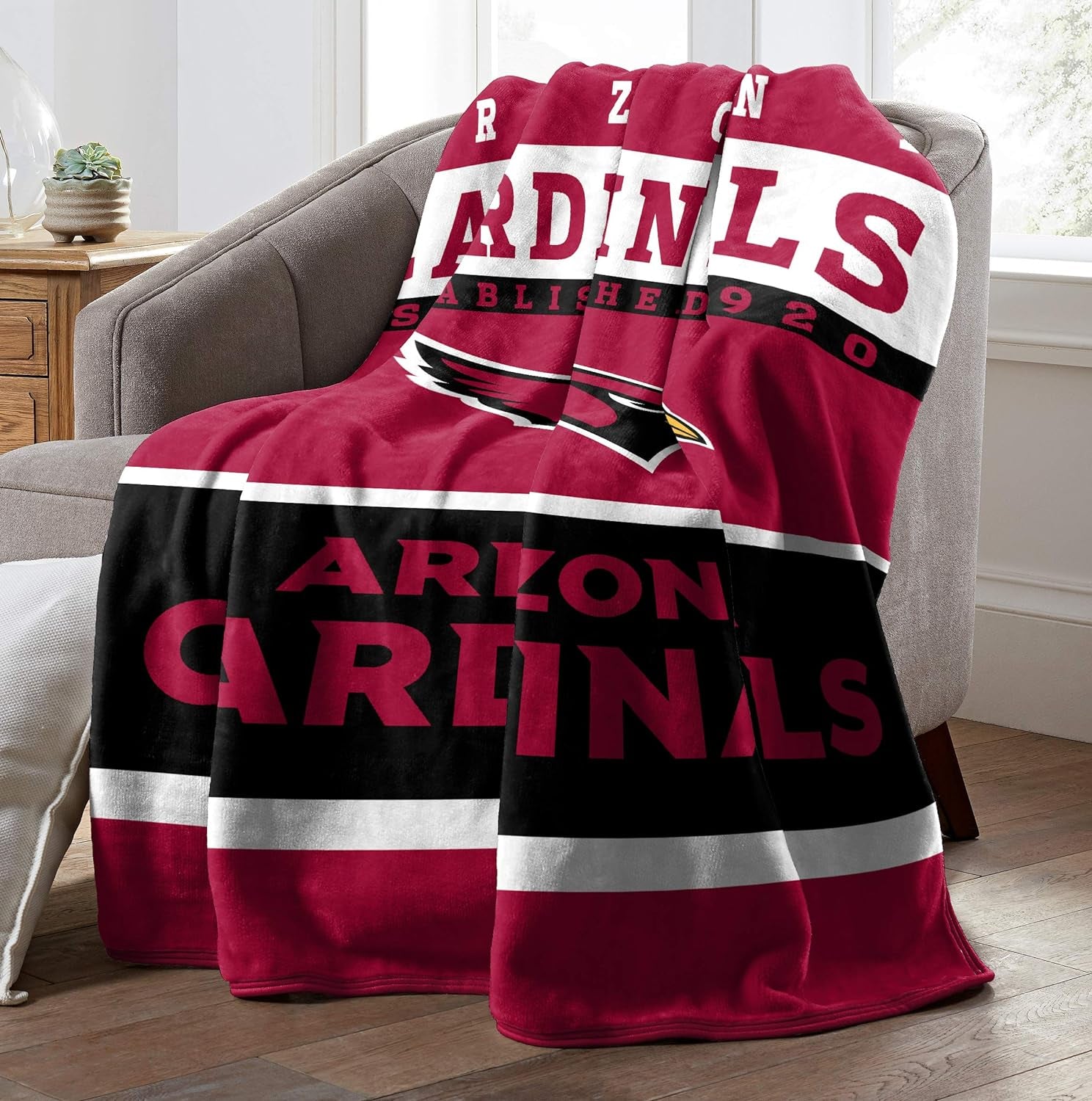 NFL Arizona Cardinals Raschel Throw Blanket - 60" x 80"