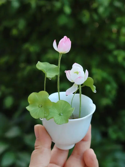 "Beautiful Bowl Lotus Seeds - Year-Round Hydroponic Blooms for Easy Indoor Greenery - Perfect for Living Rooms & Balconies (10 or 20 Seeds)"